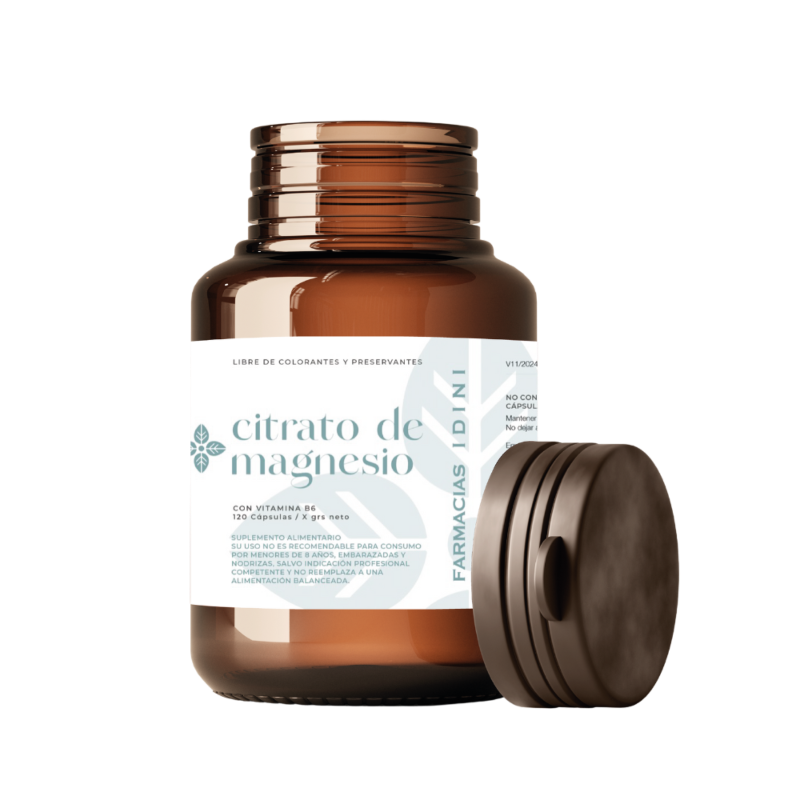 Citrato de Magnesio + Vitamina B6 120 Capsulas (IDINI)
